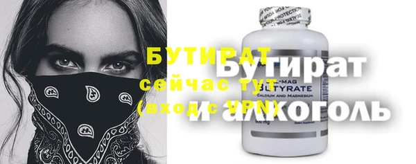 индика Нягань