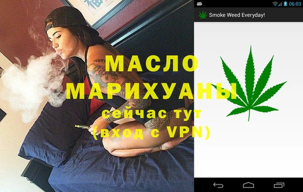 индика Нягань