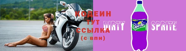 индика Нягань