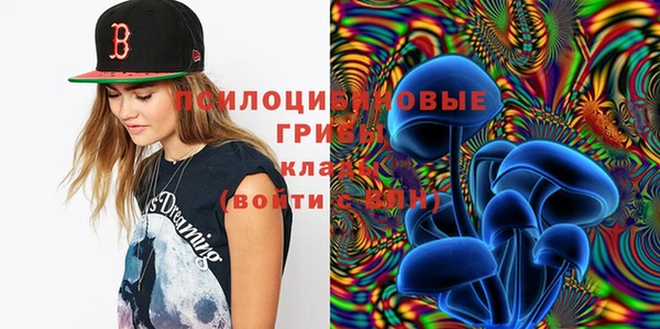 индика Нягань