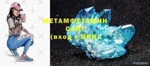 индика Нягань