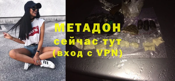 сатива Инта