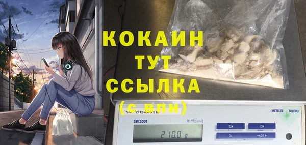 индика Нягань