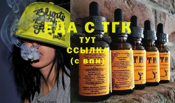 индика Нягань