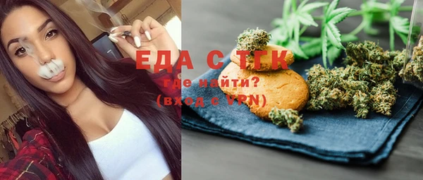 индика Нягань