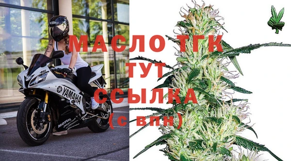 индика Нягань