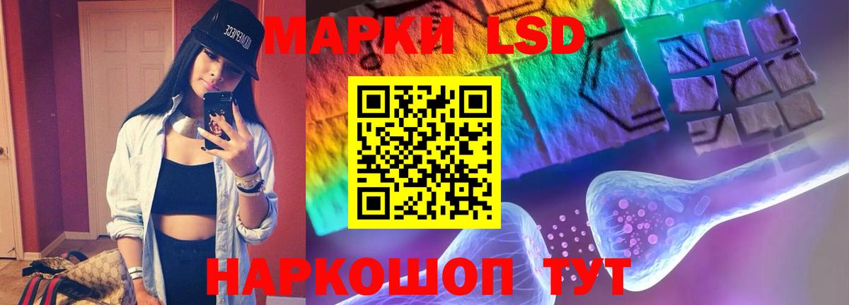 Галлюциногенные грибы Алексин
